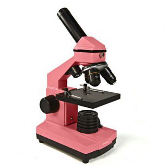 Микроскоп Levenhuk Rainbow 2L NG Роза